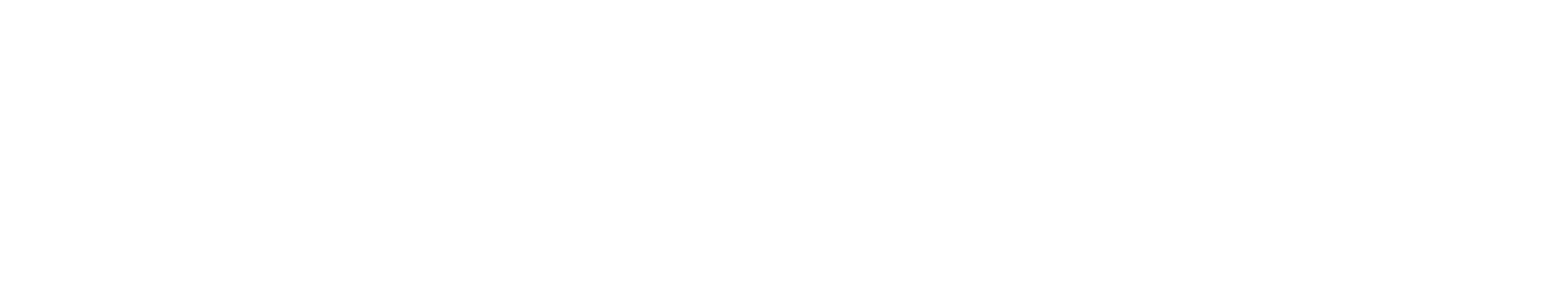 CareCap Plus